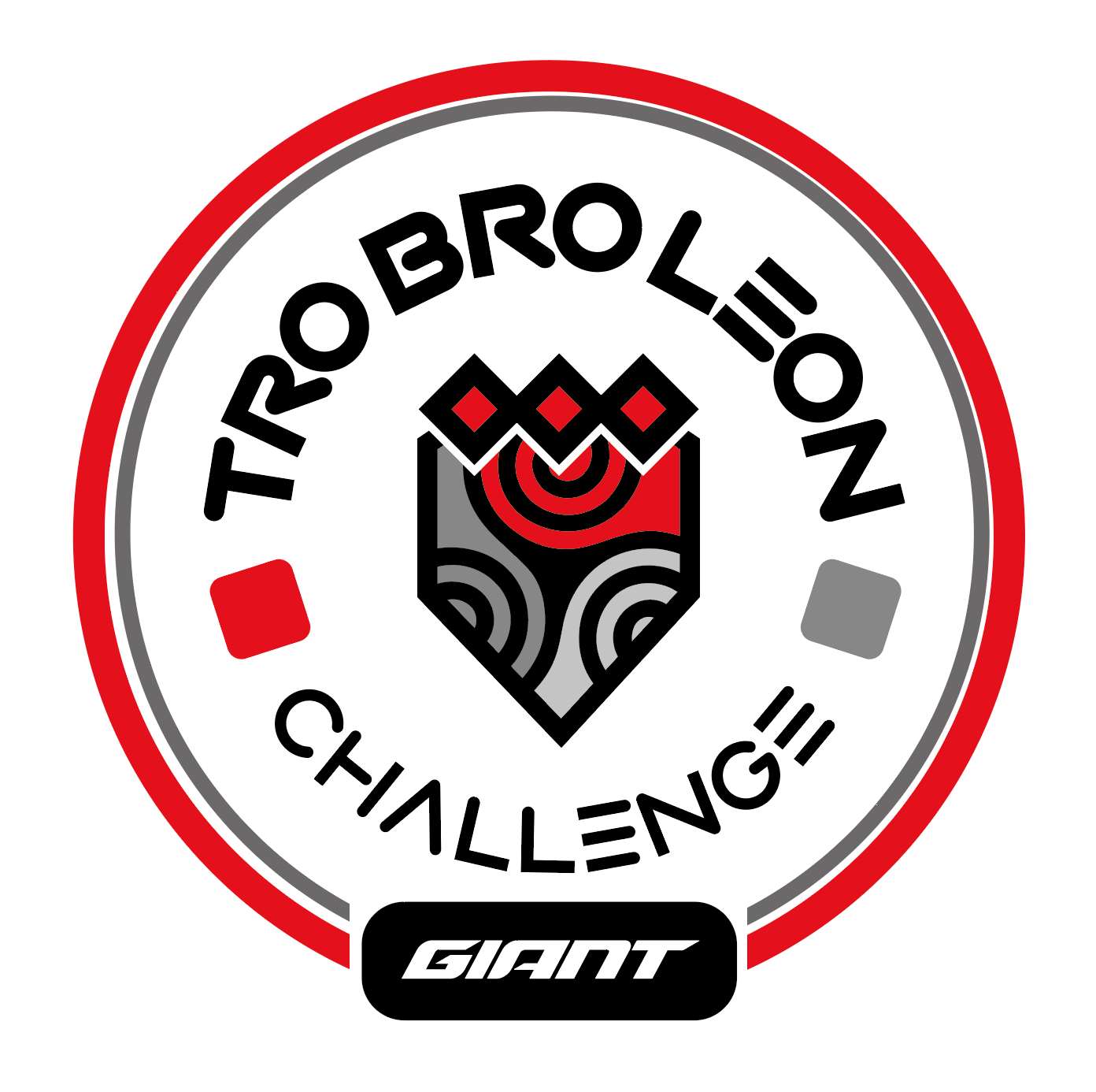 Tro Bro Leon Challenge